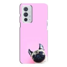 Чехлы с собаками для OnePlus 9RT (VPrint)