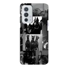 Чехол ДОБЕРМАН для OnePlus 9RT – Коллаж Доберман
