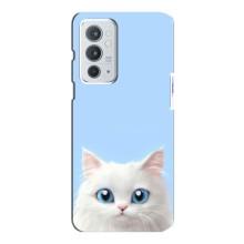 Чохол на тематику: Коти для OnePlus 9RT (Білий кіт)