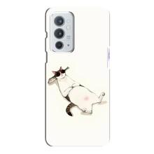 Чохол на тематику: Коти для OnePlus 9RT (Відпочинок)