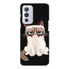 Чохол на тематику: Коти для OnePlus 9RT (Погляд кота)