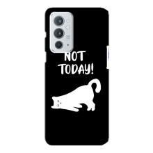 Бампер с изображением Котиков для ВанПлас 9рт – Not Today