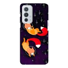 Чехол с Лисичкой для OnePlus 9RT – Лисы