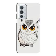 Чехол с птицами на OnePlus 9RT (VPrint)
