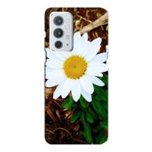 Чехол с ромашками на OnePlus 9RT – Белая ромашка