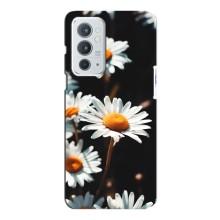Чехол с ромашками на OnePlus 9RT – Белые ромашки