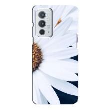Чехол с ромашками на OnePlus 9RT – Пол ромашки