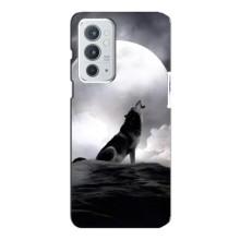 Чехол с Волком на OnePlus 9RT – Волк и луна