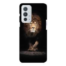 Чехол со Львом для OnePlus 9RT (VPrint)
