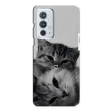 Чохол з малюнком кіт на OnePlus 9RT – Пара котів