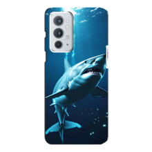 Чехол с картинкой «Хищники» для OnePlus 9RT – Акула