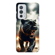 Чехол с картинкой «Хищники» для OnePlus 9RT – Пантера