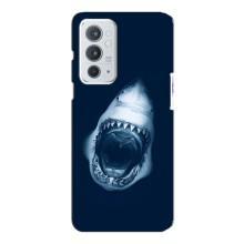 Силиконовый бампер с картинкой животных для OnePlus 9RT (Пасть Акулы)