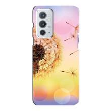 Силиконовый Чехол с одуванчиками на OnePlus 9RT – Цветок-одуванчик