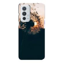 Силиконовый Чехол с одуванчиками на OnePlus 9RT – Красивый одуванчик
