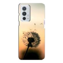 Силиконовый Чехол с одуванчиками на OnePlus 9RT – Роздумаханый одуванчик