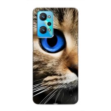 Чехлы с Котиками для Realme GT Neo 2 (VPrint) (Глаз кота)