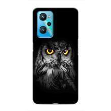 Чехлы с принтом СОВЫ для Realme GT Neo 2 – Сова на чёрном