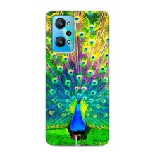Чехол с птицами на Realme GT Neo 2 (VPrint) (Яркий Павлин)