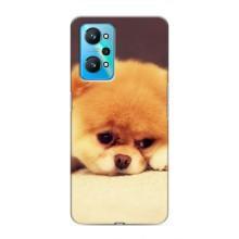 Чехол (ТПУ) Милые собачки для Realme GT Neo 2 (Померанский шпиц)