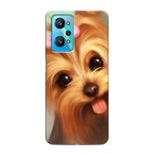 Чехол (ТПУ) Милые собачки для Realme GT Neo 2 (Йоршенский терьер)