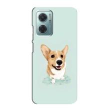 Чехлы с собаками для Xiaomi Redmi Note 11E (VPrint) (Корги)