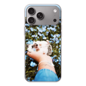 Чехлы с изображением разных животных для Apple iPhone 18 Pro Max – Ежик на руках