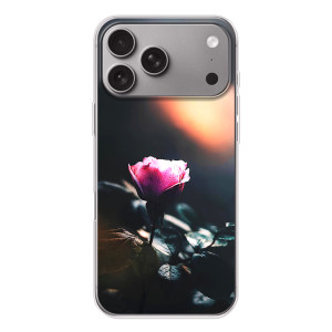Чехлы с принтом Розочки для Apple iPhone 18 Pro Max – Цветок ночной