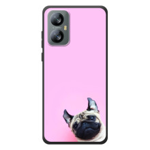 Бампер для Blackview A52 Pro з картинкою "Песики" (Собака на рожевому)