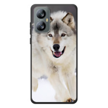 Чохол з Вовком на Blackview A52 Pro – Вовк біжить по снігу