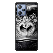 Чехлы с Горилой на Блэквью А53 Про (Черная обезьяна)