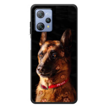 Чехлы с картинками животных Blackview A53 Pro (Овчарка)