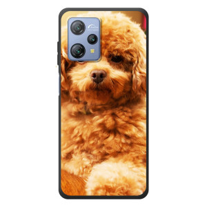 Чехлы с собаками для Blackview A53 Pro (VPrint)
