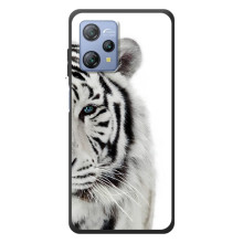 Чехлы с картинками животных Blackview A53 (Белый Тигр)