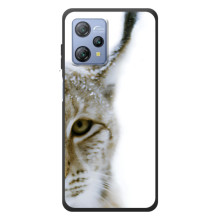 Чехлы с картинками животных Blackview A53 (Рысь)