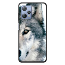 Чехлы с картинками животных Blackview A53 (Волк)