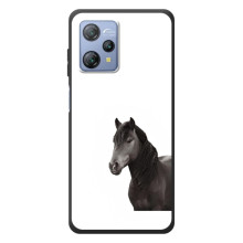 Чехлы с Лошадью дляBlackview A53 (VPrint) (Черный Конь)
