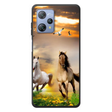 Чехлы с Лошадью дляBlackview A53 (VPrint) (Лошадки)