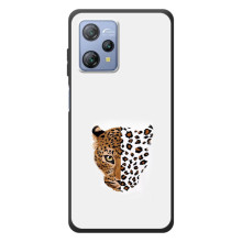 Чехол с леопардовым принтом на Blackview A53 – Леопард на белом