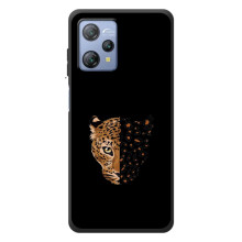 Чехол с леопардовым принтом на Blackview A53 – Леопард на черном