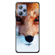 Чехол с Лисичкой для Blackview A53 (Рыжая Лисичка)