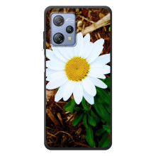 Чехол с ромашками на Blackview A53 – Белая ромашка