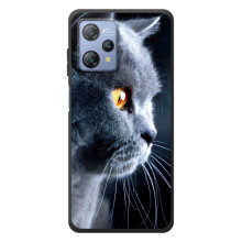 Чехол с милыми котиками на Блэквю А53 (Брытанский кот)