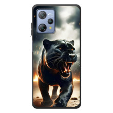 Чехол с картинкой «Хищники» для Blackview A53 – Пантера