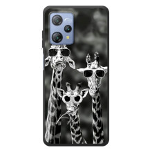 Силиконовый чехол с КАРТИНКАМИ лето для Blackview A53 (AlphaPrint) (Жирафы в очках)