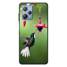 Силиконовый чехол с птичкой на Blackview A53 (Калибри)