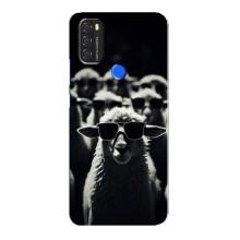 Чохол з принтом стильні тварини для Blackview А70 (Овечка в окулярах)