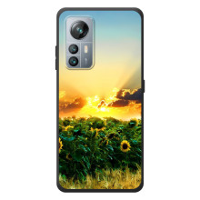 Чохли з картинкою Соняшників для Бlаckview А85 – Захід сонця