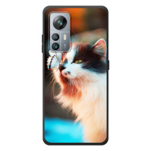 Чехол на Блеквью А85 с Котами (VPrint) (Котик с бабочкой)