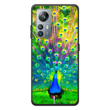 Чехол с птицами на Blackview A85 (VPrint) – Яркий Павлин